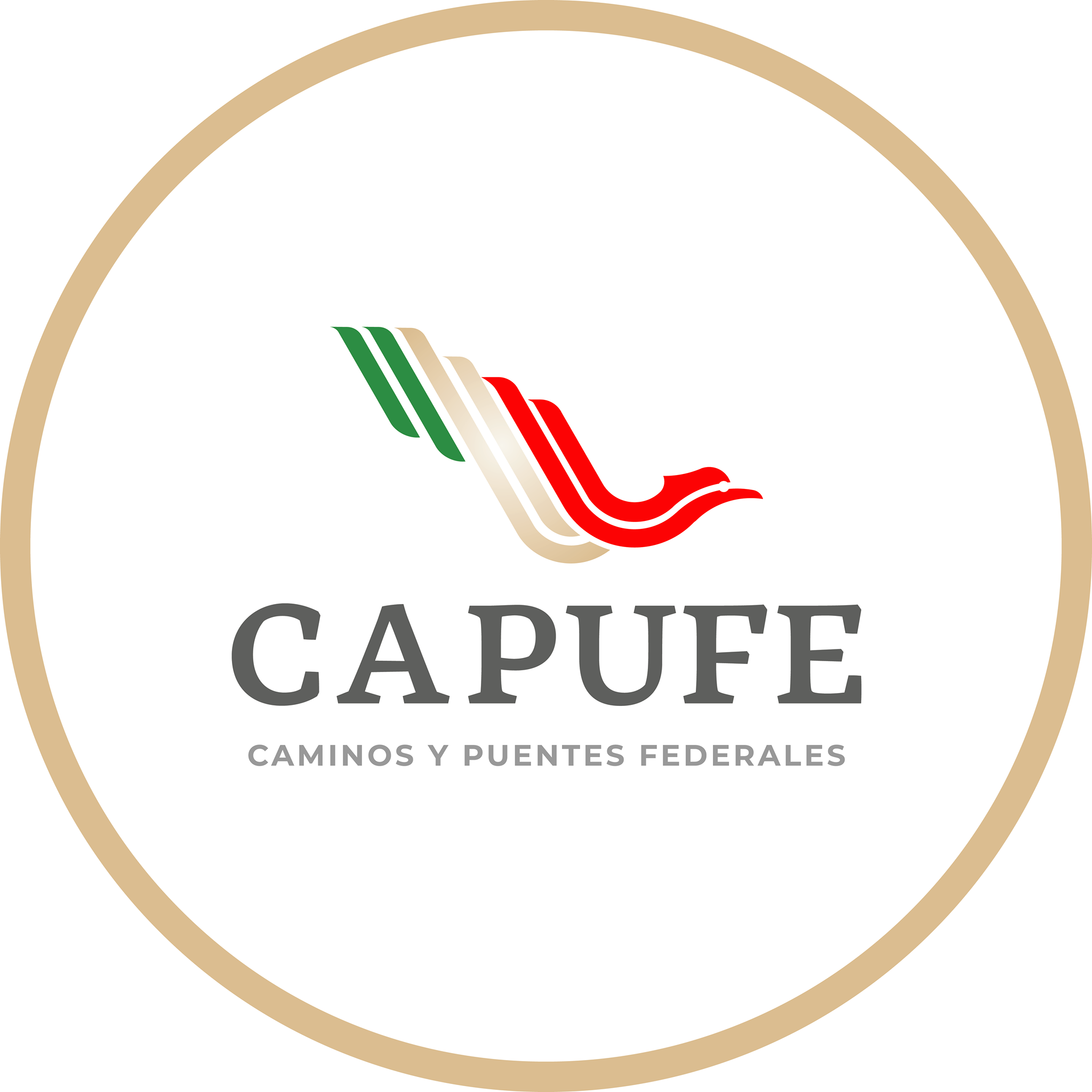 Socios y Clientes CAPUFE